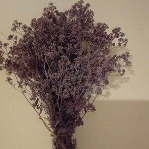 Real dried preserved flowers